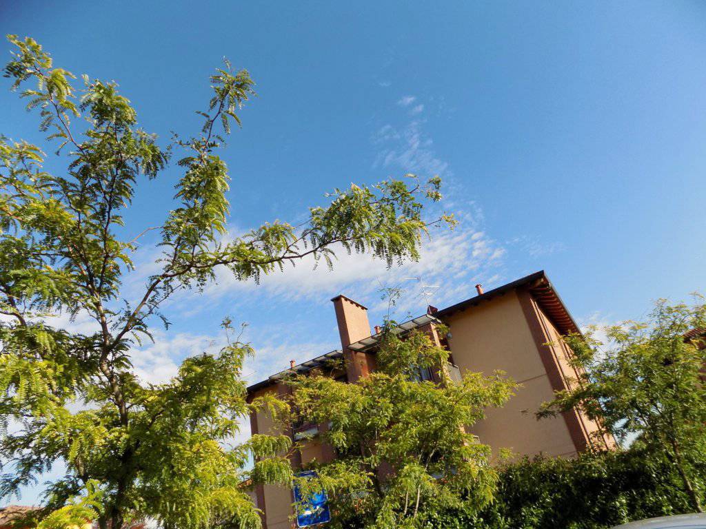 Appartamento-ultimo-piano-in-vendita-a-Busnago-in-Brianza-1