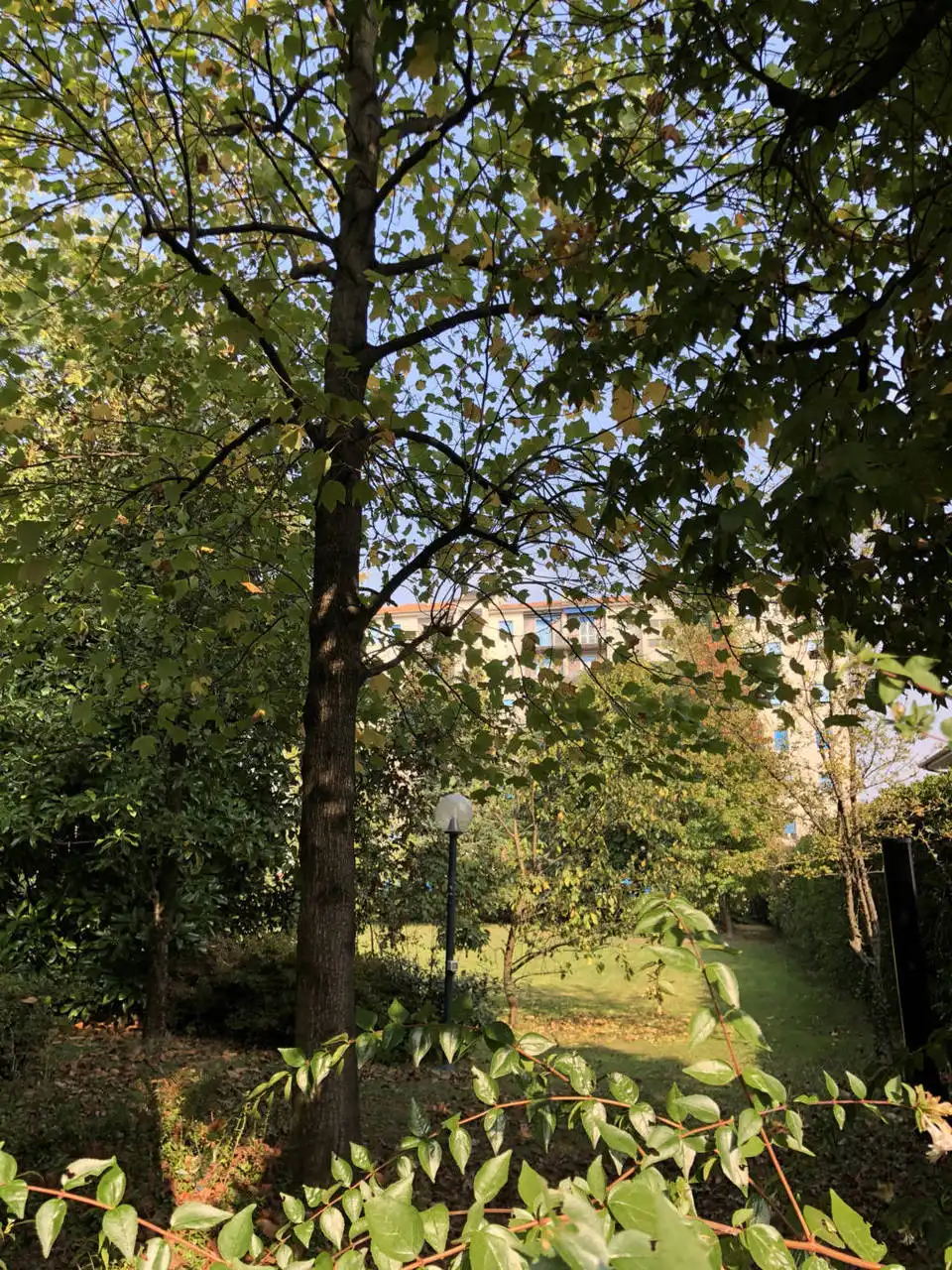 Villa-con-due-appartamenti-in-vendita-a-Cornate-d-Adda-9