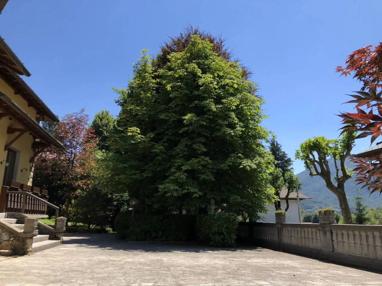 Villa-in-vendita-a-Barzio-19