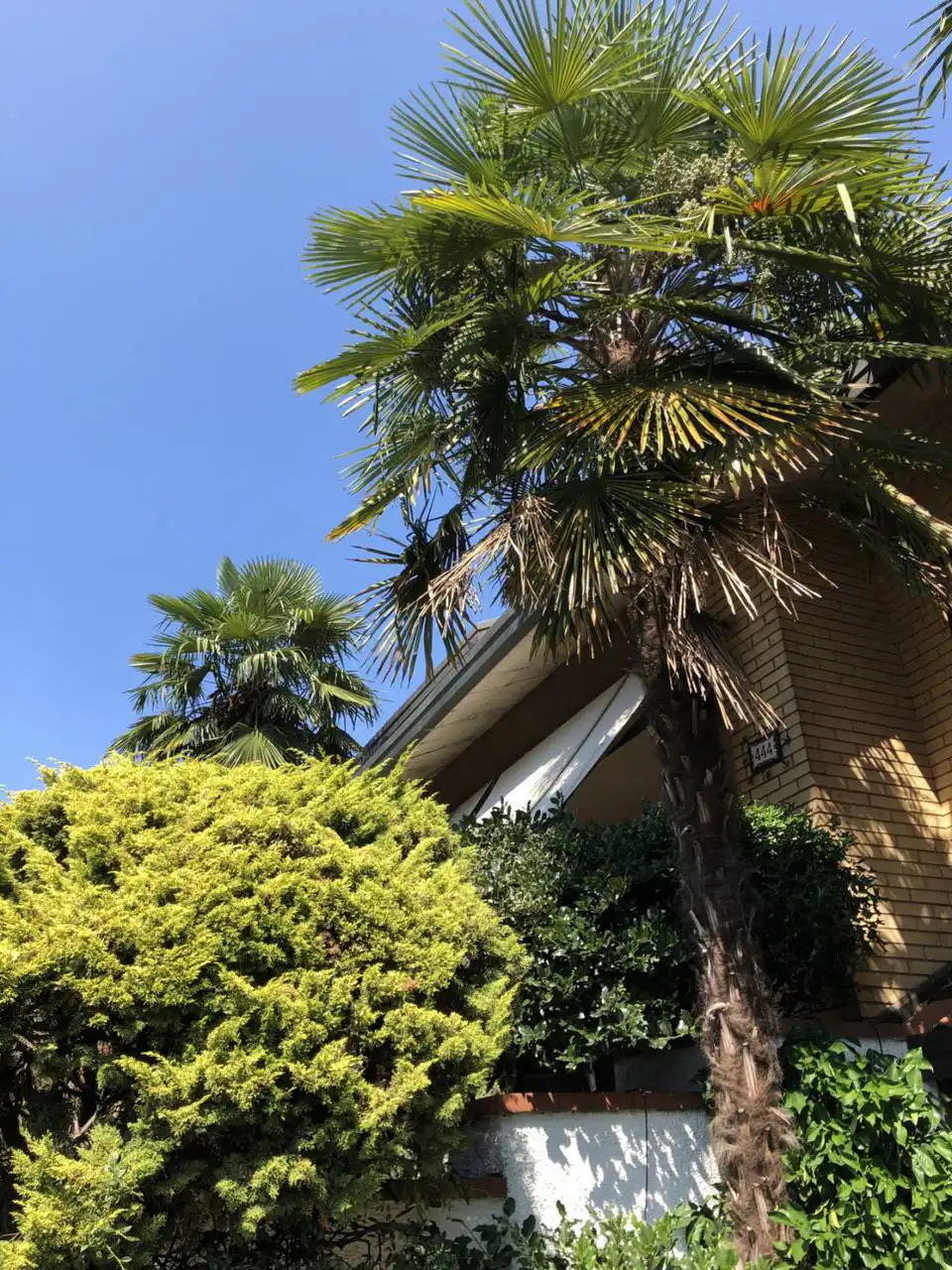 Villa-in-vendita-a-Caronno-Pertusella-12