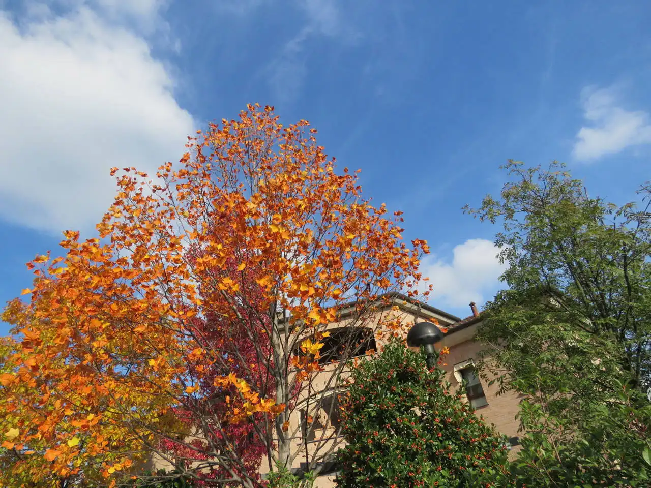 Villa-singola-in-vendita-a-Bernareggio-in-Brianza-30