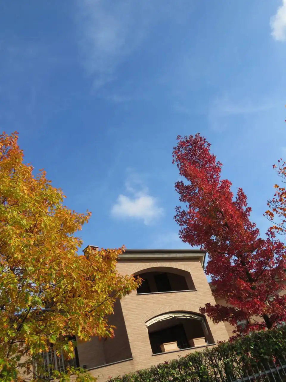 Villa-singola-in-vendita-a-Bernareggio-in-Brianza-33