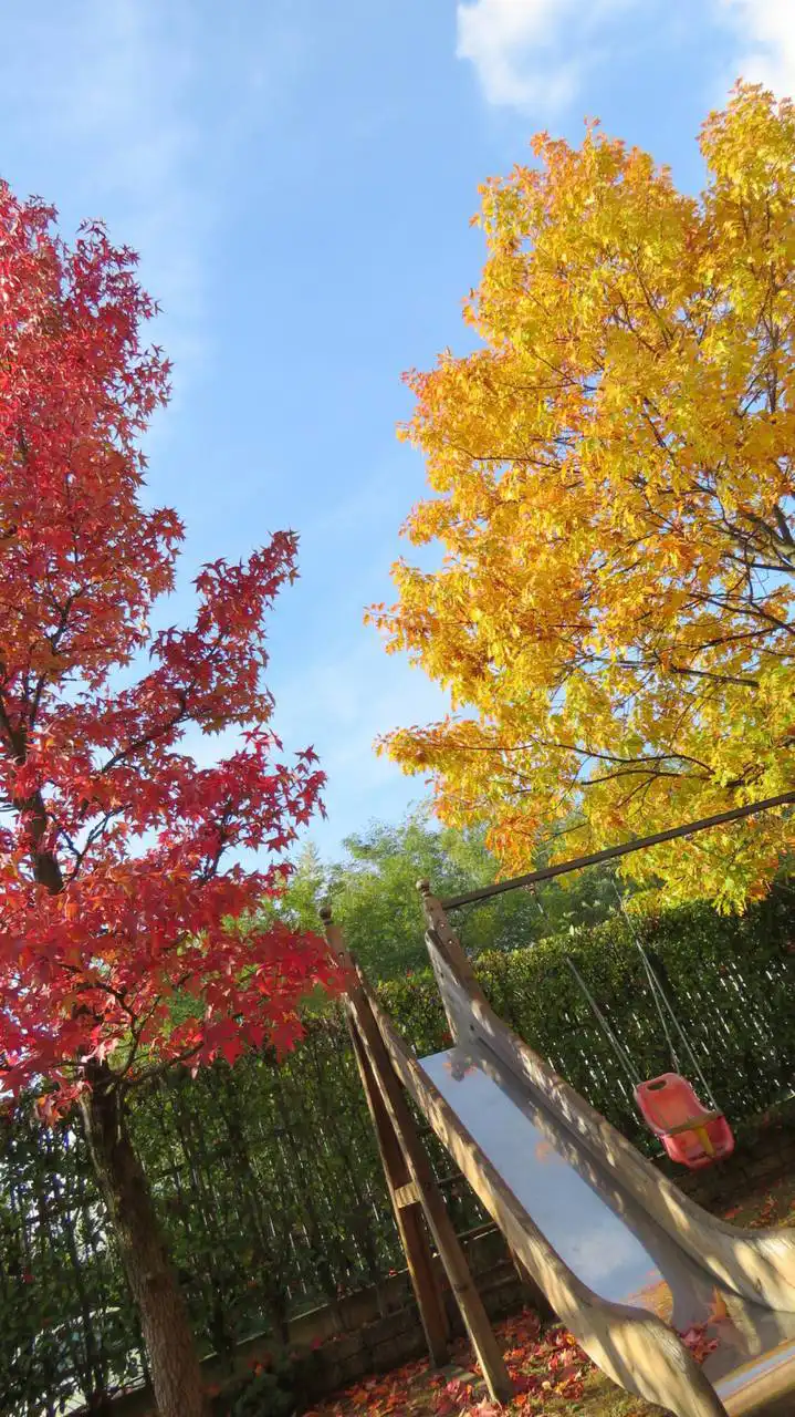 Villa-singola-in-vendita-a-Bernareggio-in-Brianza-5