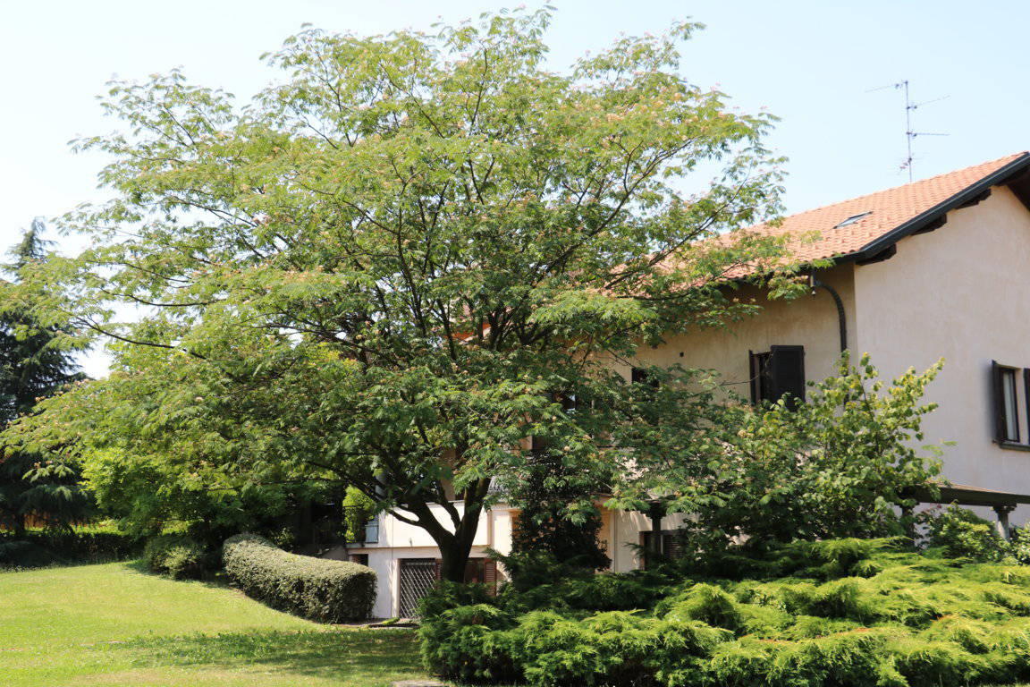 Villa-singola-signorile-in-vendita-a-Busnago-in-Brianza-20