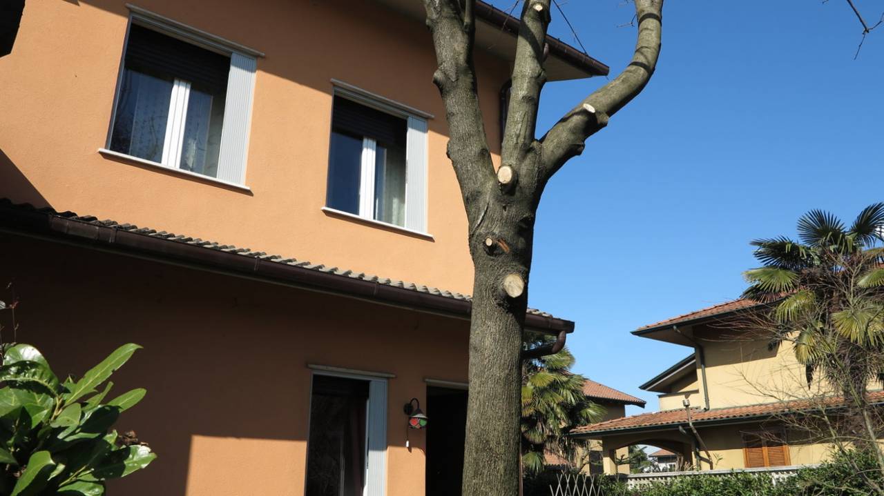 Ville-in-vendita-in-Agrate-Brianza-8