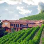 Azienda-vitivinicola-in-vendita-Asti
