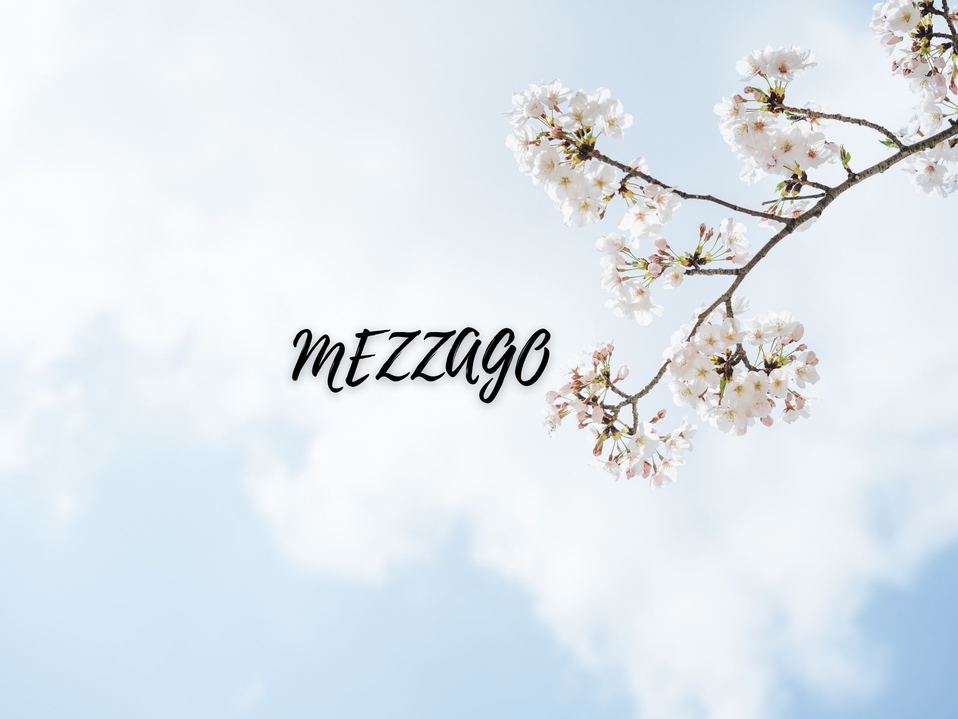 Mezzago ville in vendita in Brianza