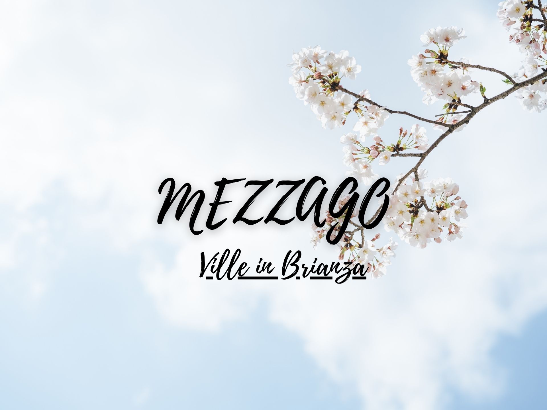 Mezzago ville in vendita in Brianza 
