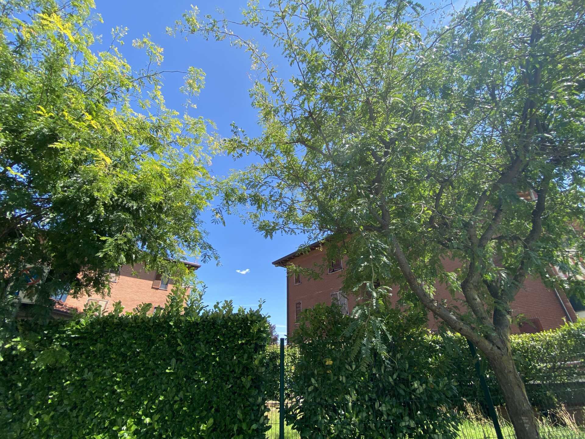 Appartamento in vendita a Busnago con terrazzo (2)