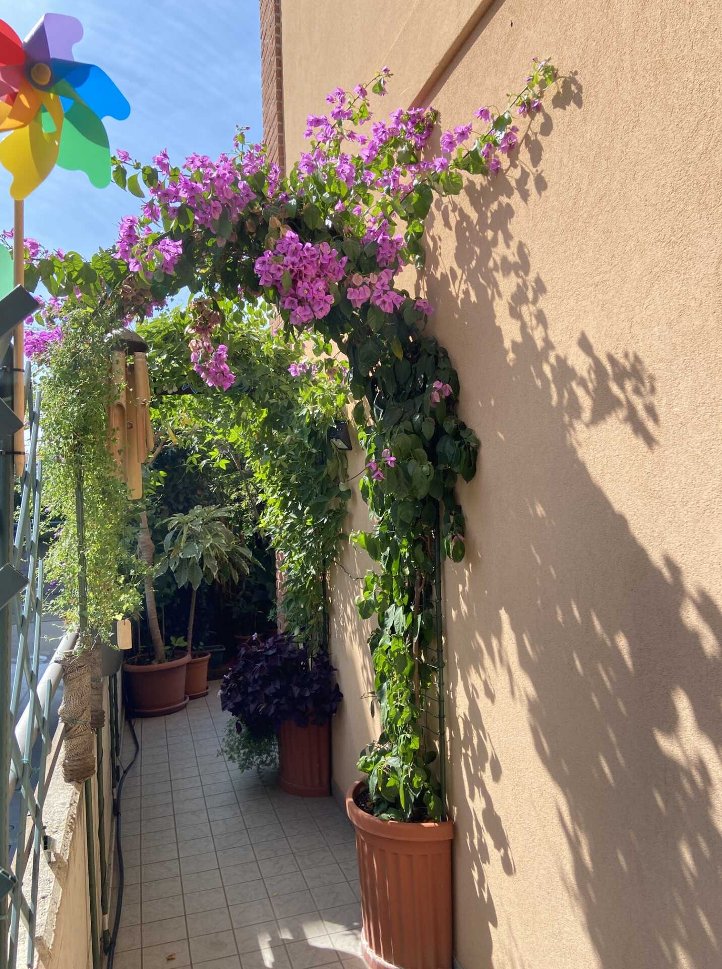 Appartamento 2 locali a Busnago con giardino in vendita (22)