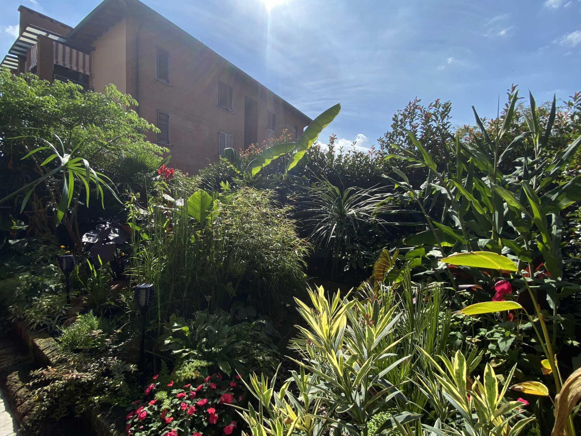 Appartamento 2 locali a Busnago con giardino in vendita (25)