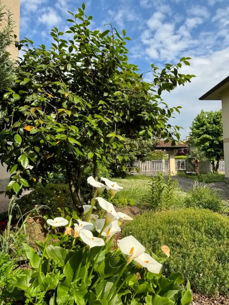 In vendita ampia proprietà immobiliare in Brianza a Bellusco