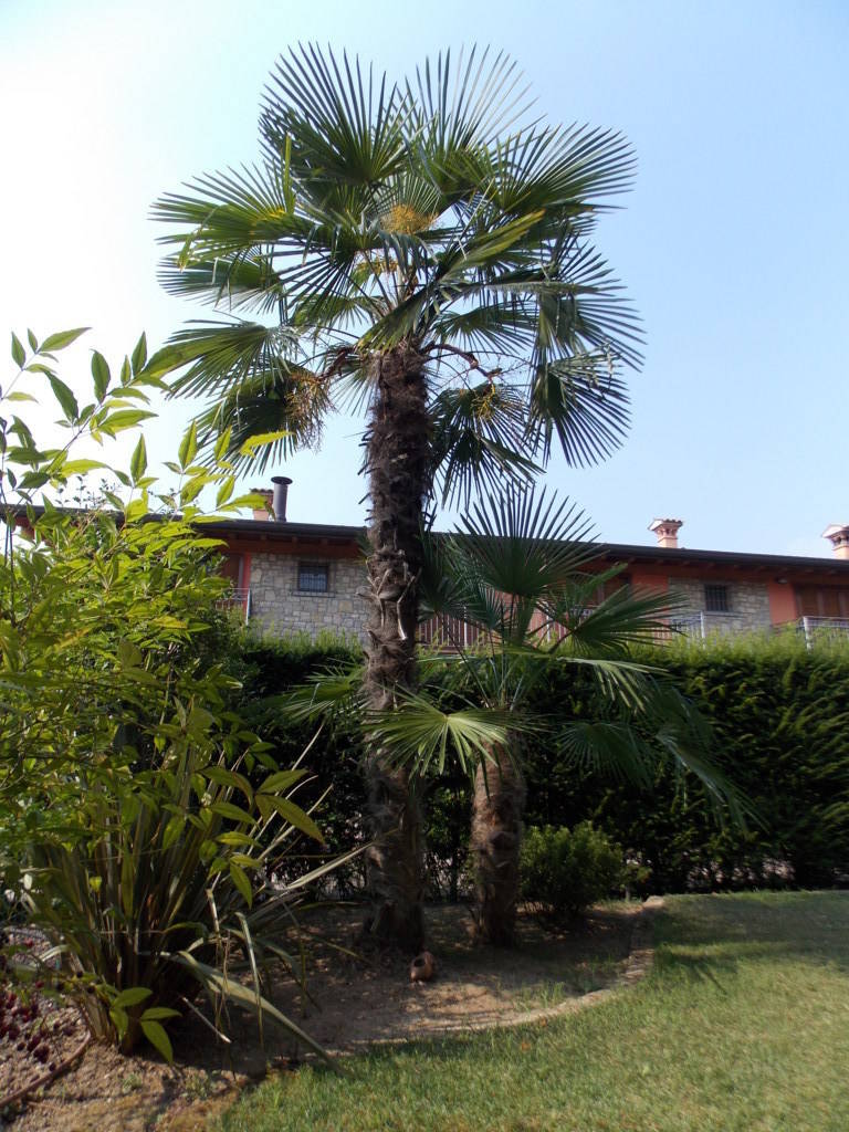 3-locali-con-giardino-in-vendita-a-Roncello-22