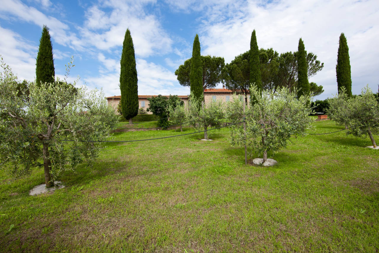 Casale-in-Toscana-Val-di-Chiana-in-vendita-20