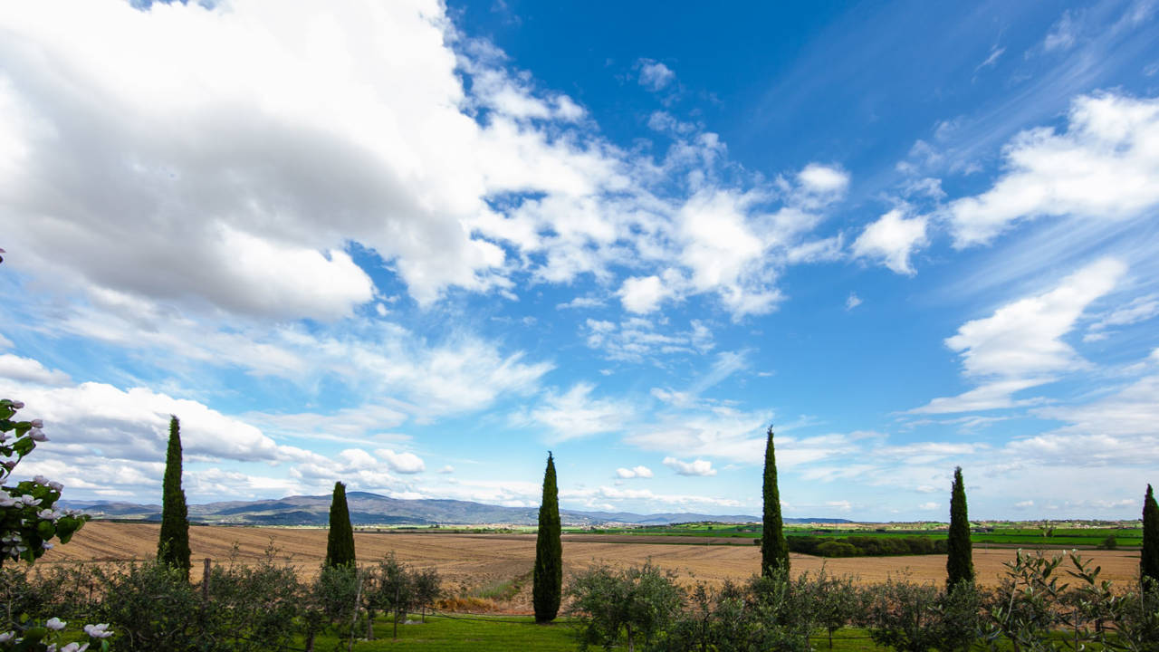 Casale-in-Toscana-Val-di-Chiana-in-vendita-21