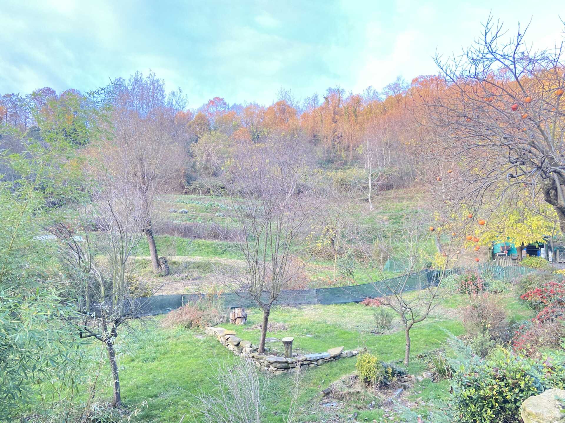 Rustici-da-ristrutturare-in-vendita-a-Missaglia-7