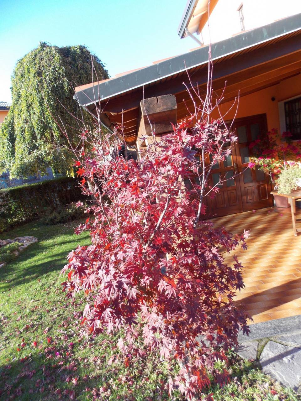 Villa-a-San-Giuliano-Milanese-in-Sesto-Ulteriano-4