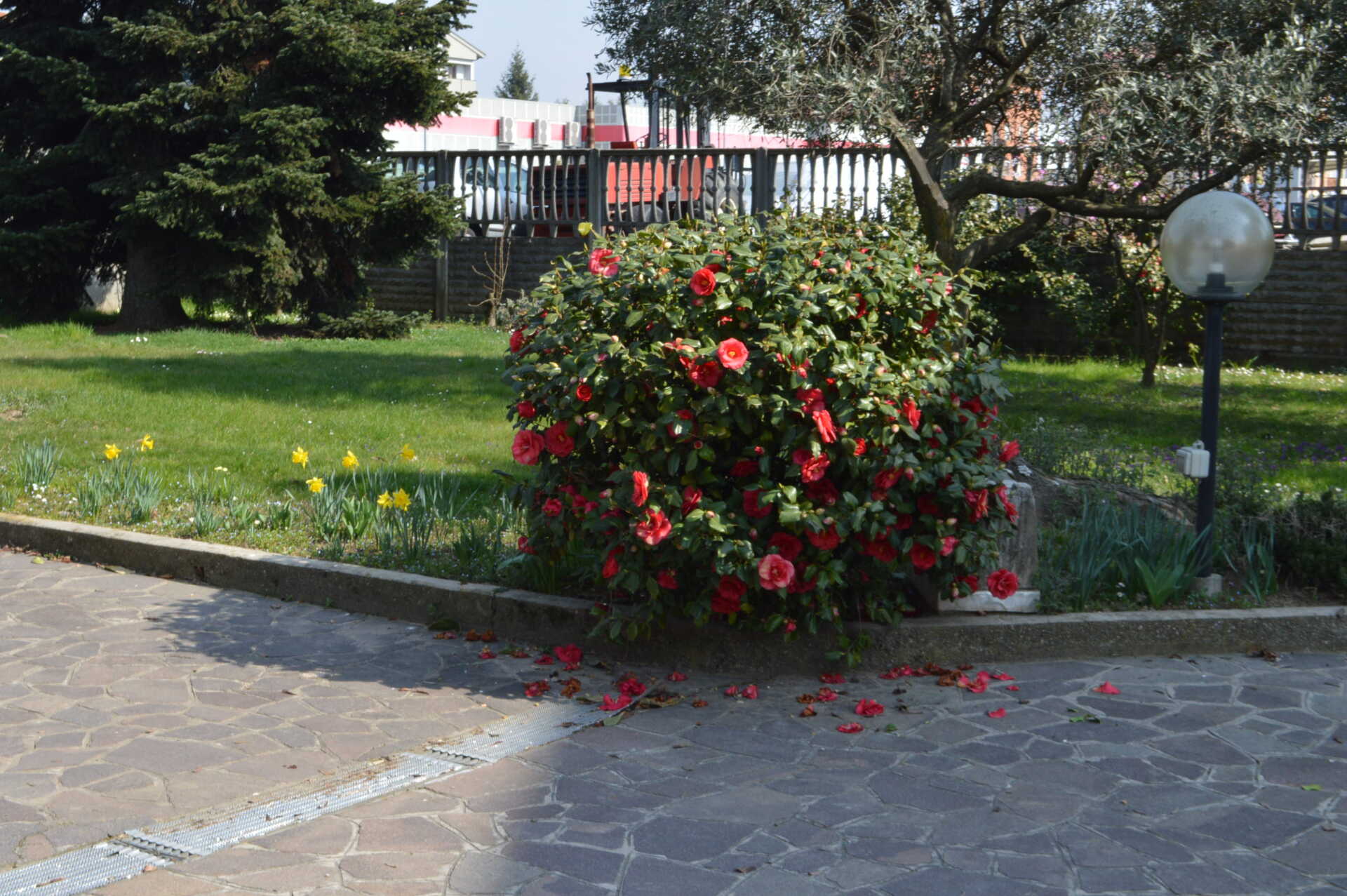 villa-singola-con-giardino-in-vendita-a-bellusco-casastyle-immobiliare-milano-e-brianza-3