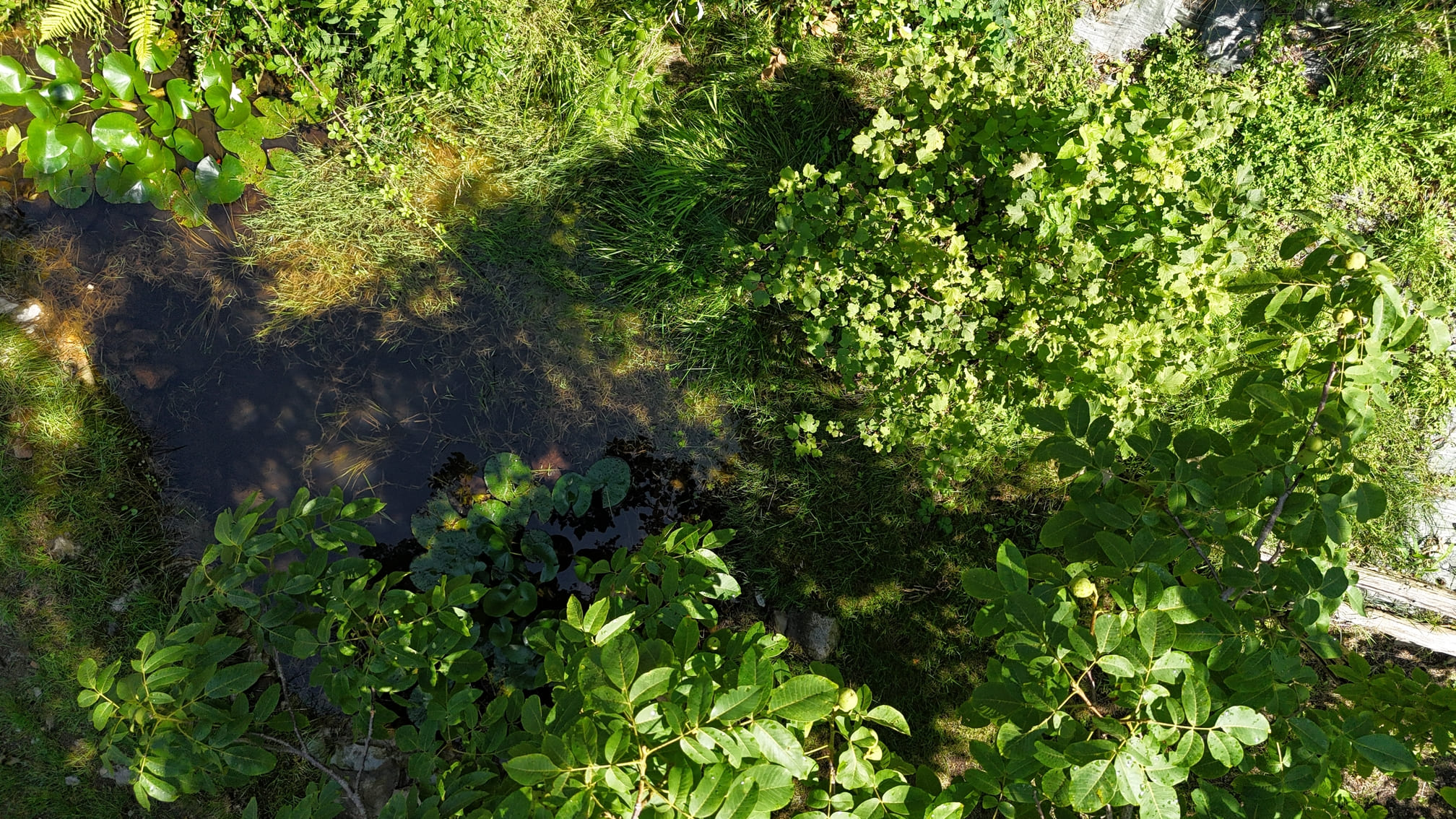 Casale di charme con 15.000 mq di terreno in vendita a Pasturo, nel cuore della Valsassina (2)