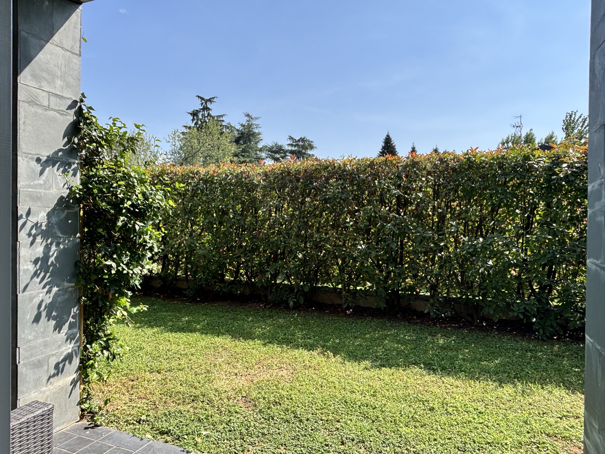 Concorezzo una casa da vivere tra giardino, portico e piscina (6)